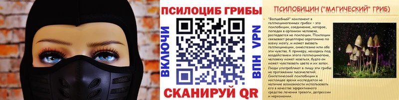 Псилоцибиновые грибы прущие грибы  Купить закладки  Алушта 